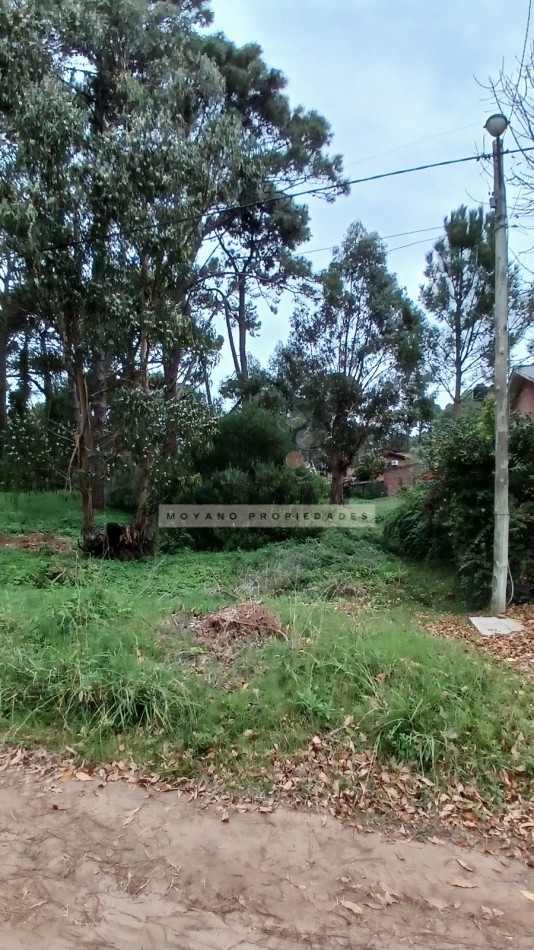 Lote en venta - Calle Segui entre Cabral y Nuñez de Balboa