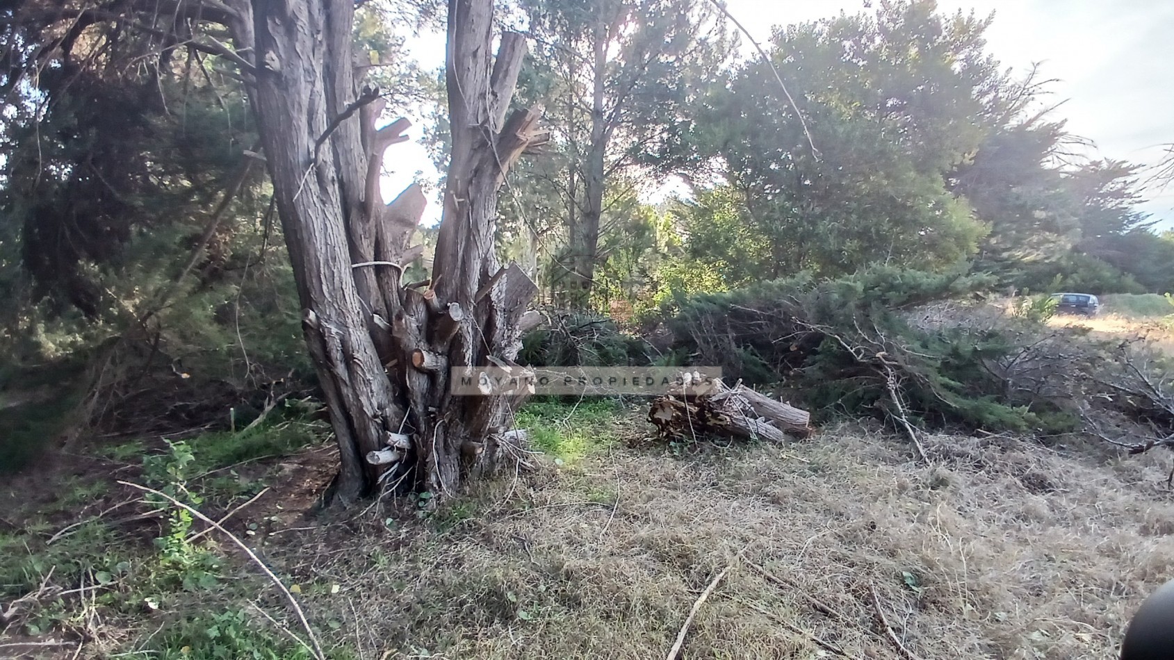 Lote Unifamiliar en Venta - Entorno Natural y Excelente Ubicacion en Villa Gesell