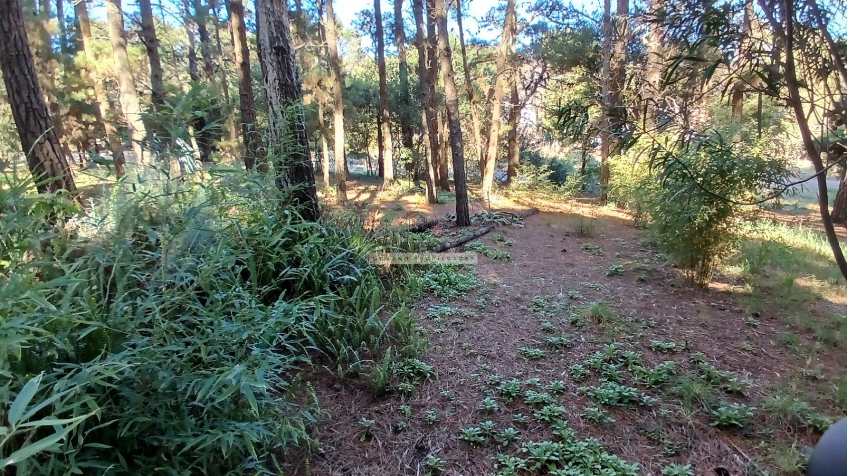 Casa en venta - 4 ambientes - Mar de las Pampas