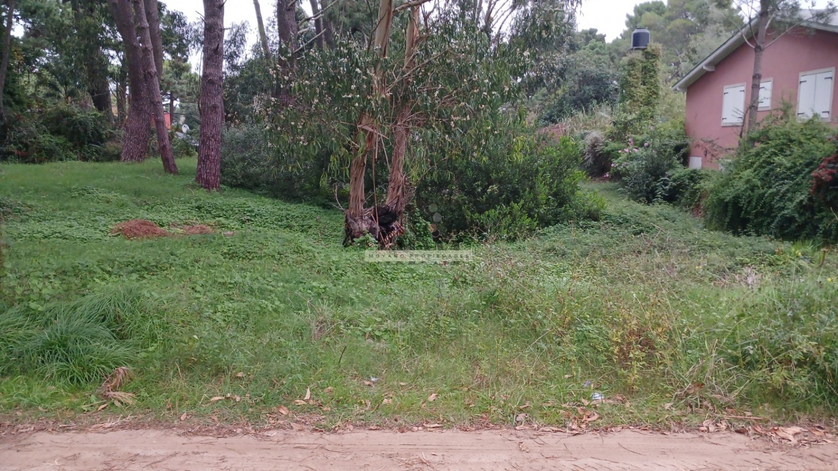 Lote en venta - Calle Segui entre Cabral y Nuñez de Balboa