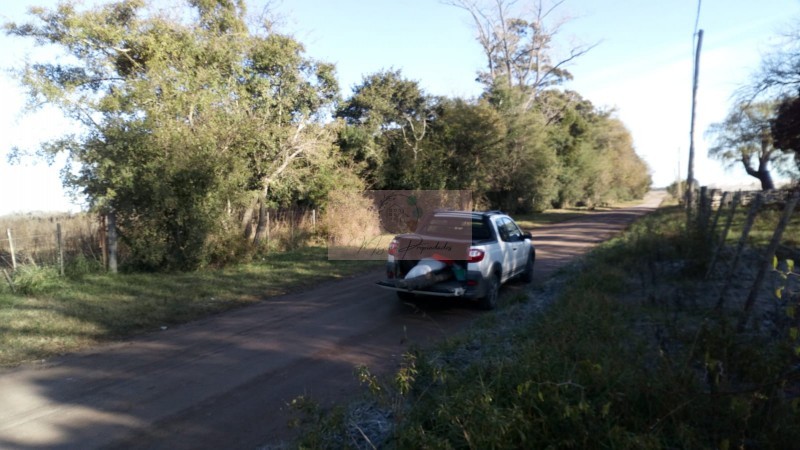 8 Héctareas en Gral. Madariaga