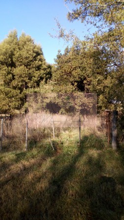 8 Héctareas en Gral. Madariaga