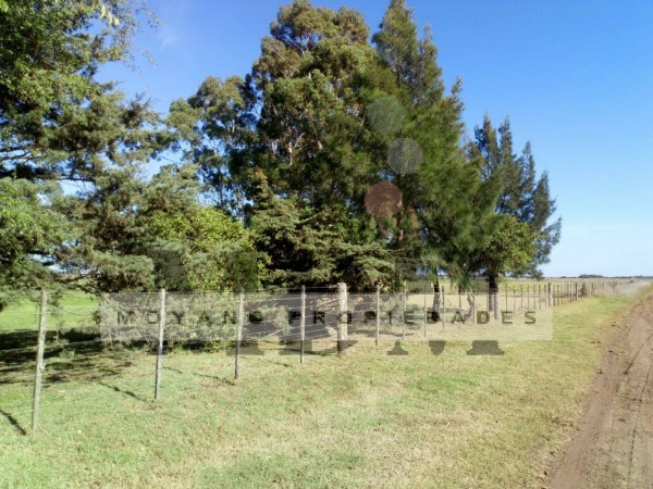 2 1/2 hectareas en Gral. Madariaga 