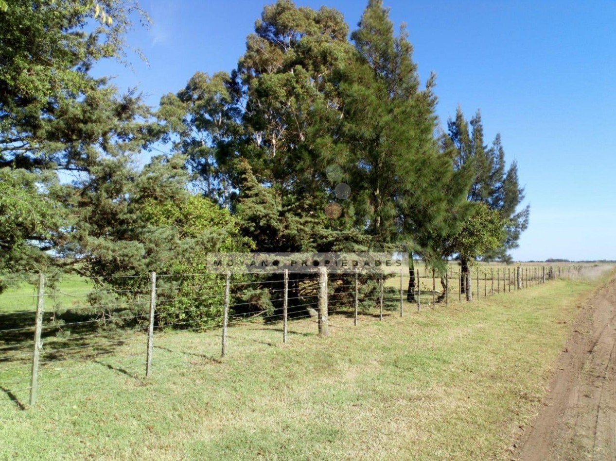 8 Hectareas en Gral. Madariaga