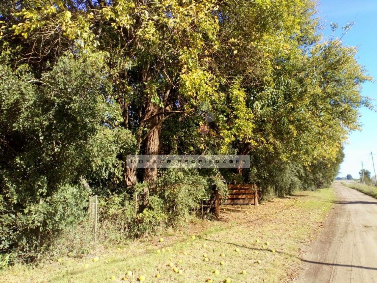 8 Hectareas en Gral. Madariaga