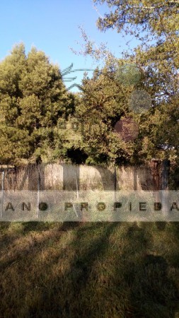 8 Hectareas en Gral. Madariaga