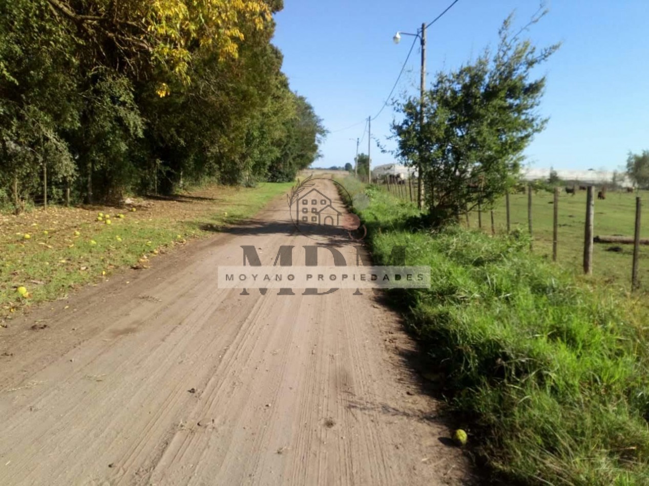 8 Hectareas en Gral. Madariaga