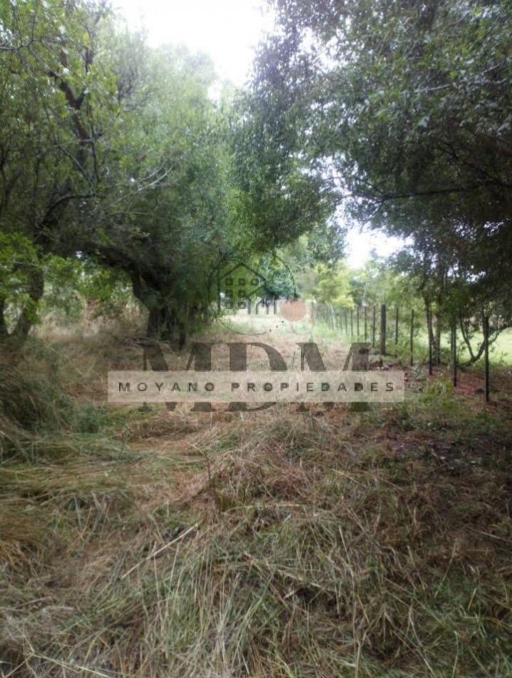 8 Hectareas en Gral. Madariaga