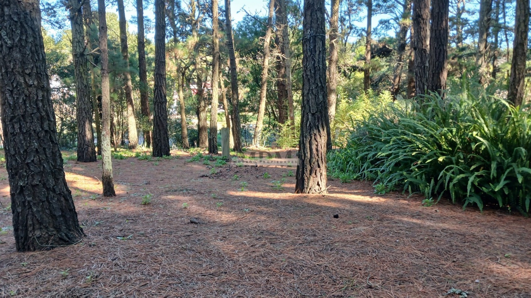 Casa en venta - 4 ambientes - Mar de las Pampas