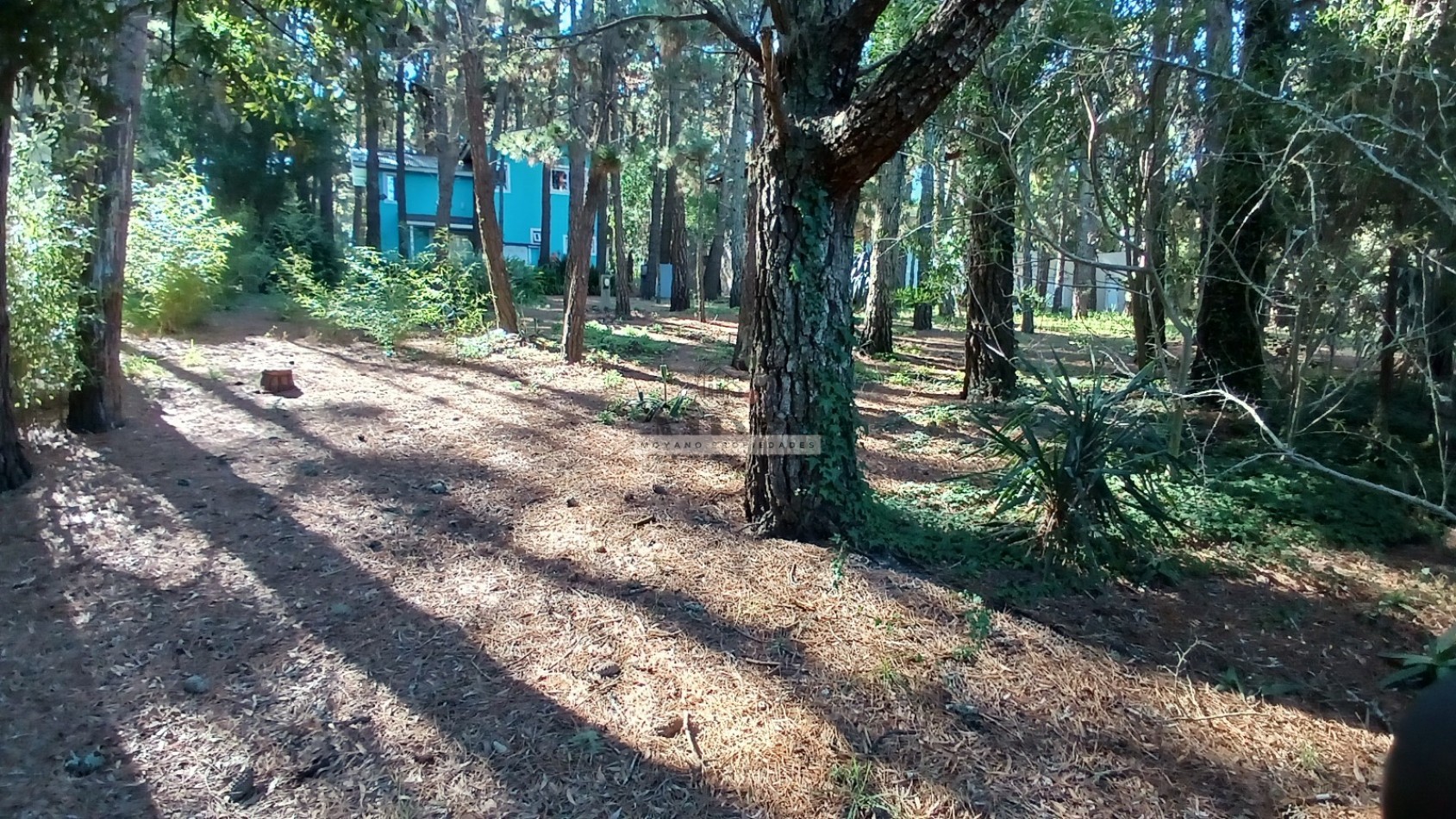 Casa en venta - 4 ambientes - Mar de las Pampas