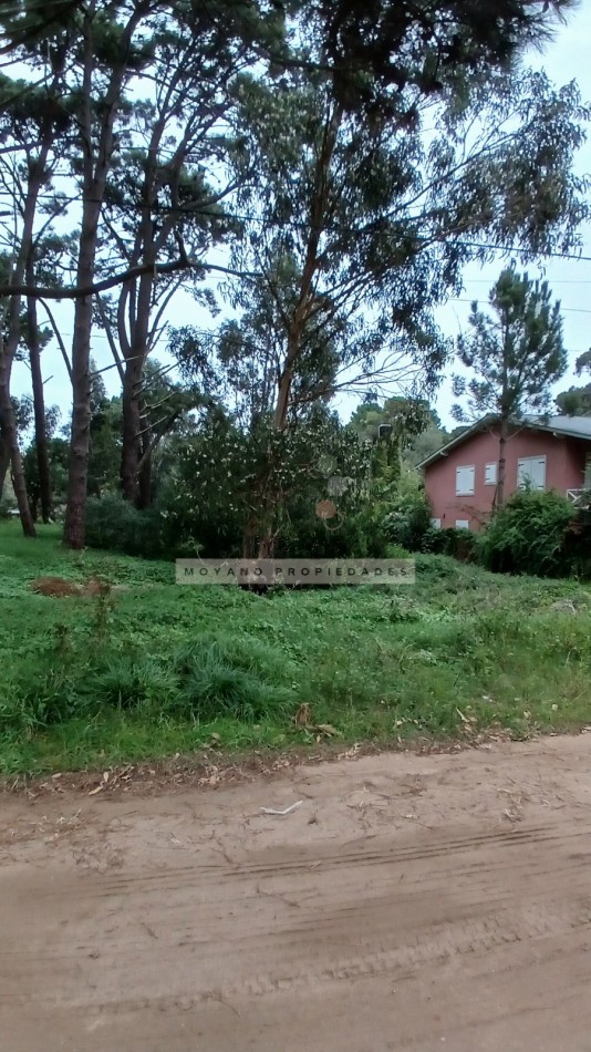 Lote en venta - Calle Segui entre Cabral y Nuñez de Balboa