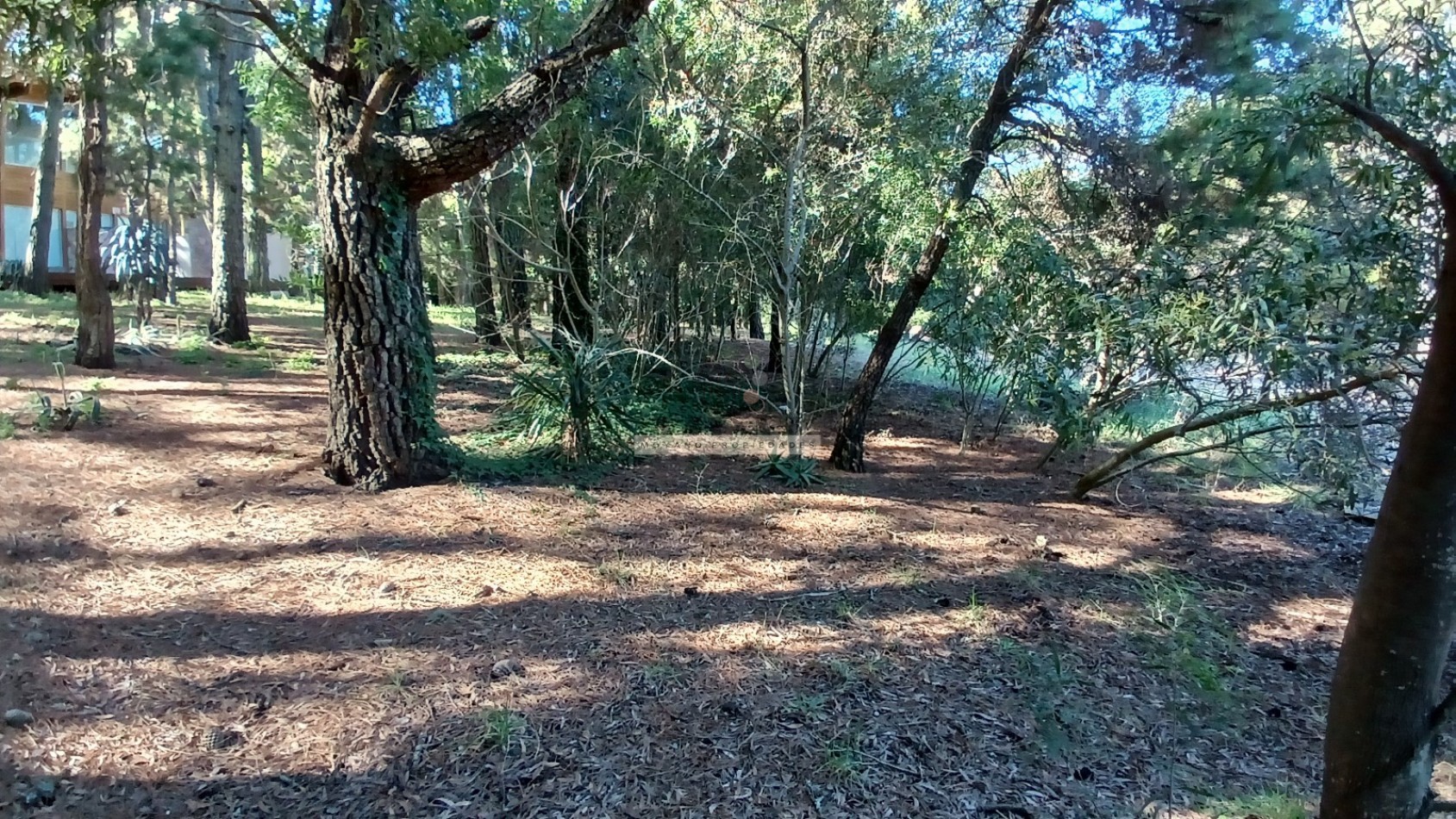 Casa en venta - 4 ambientes - Mar de las Pampas