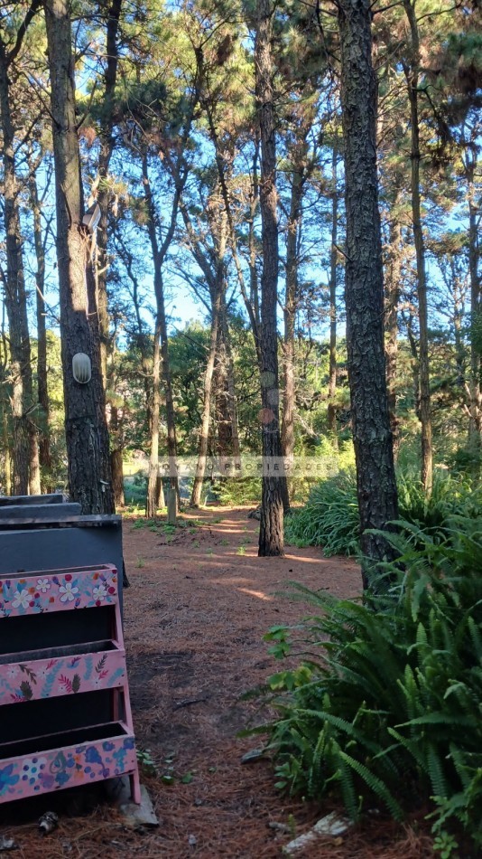 Casa en venta - 4 ambientes - Mar de las Pampas