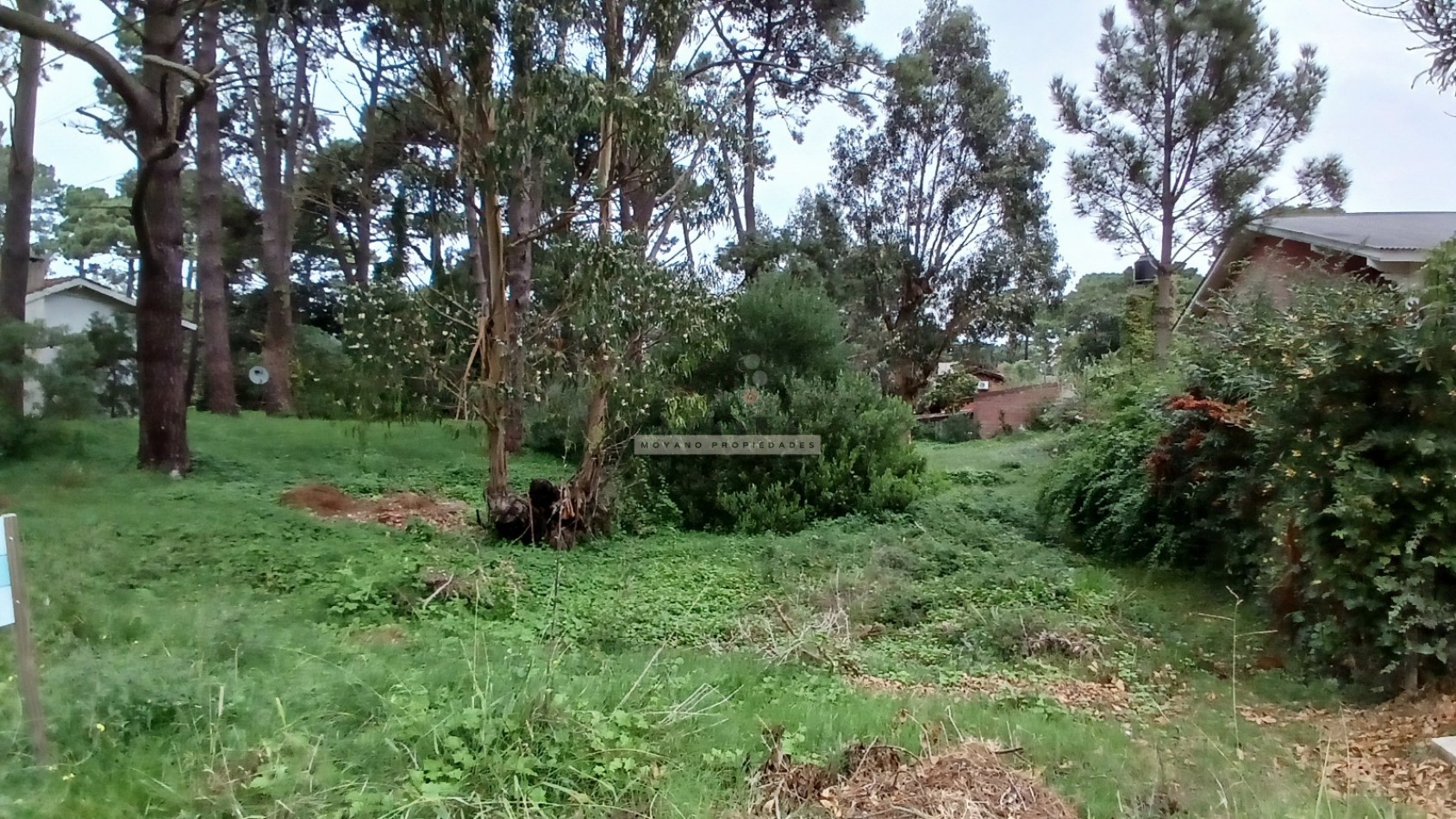 Lote en venta - Calle Segui entre Cabral y Nuñez de Balboa