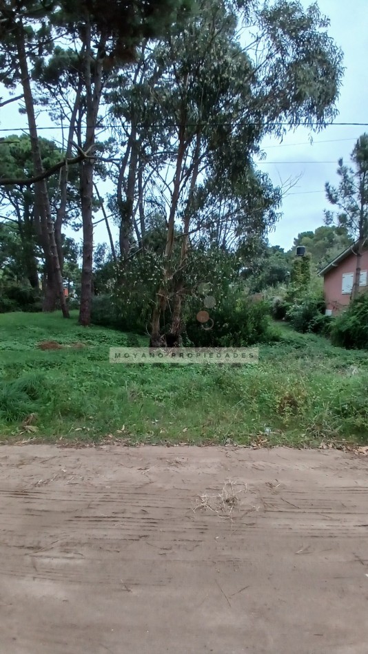 Lote en venta - Calle Segui entre Cabral y Nuñez de Balboa