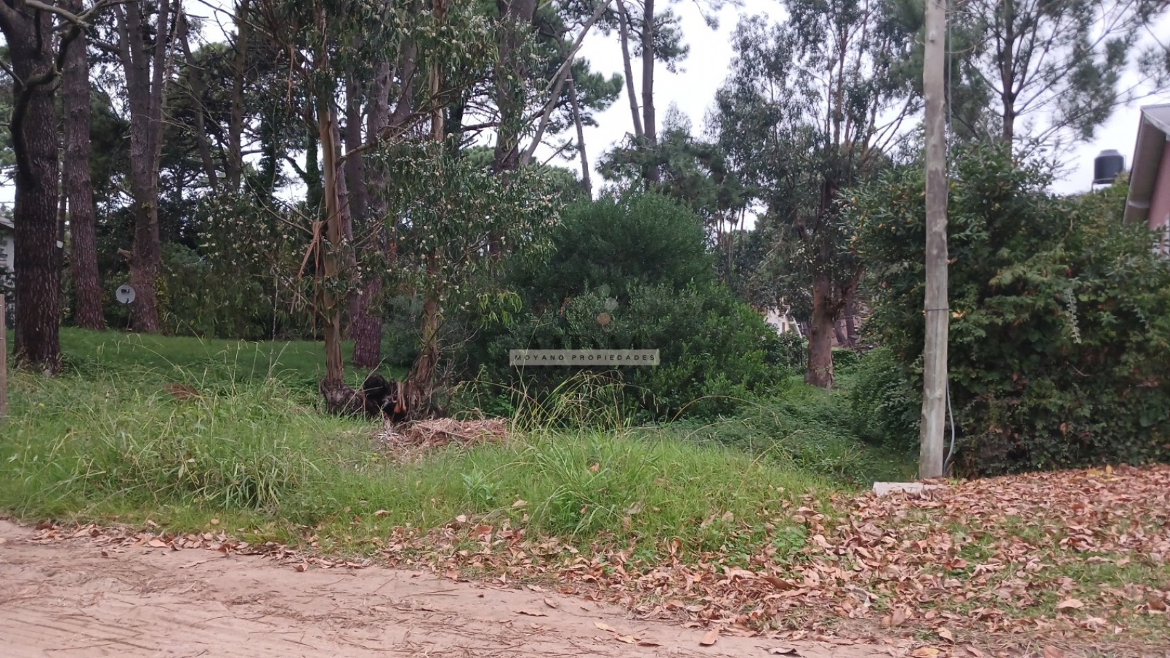 Lote en venta - Calle Segui entre Cabral y Nuñez de Balboa