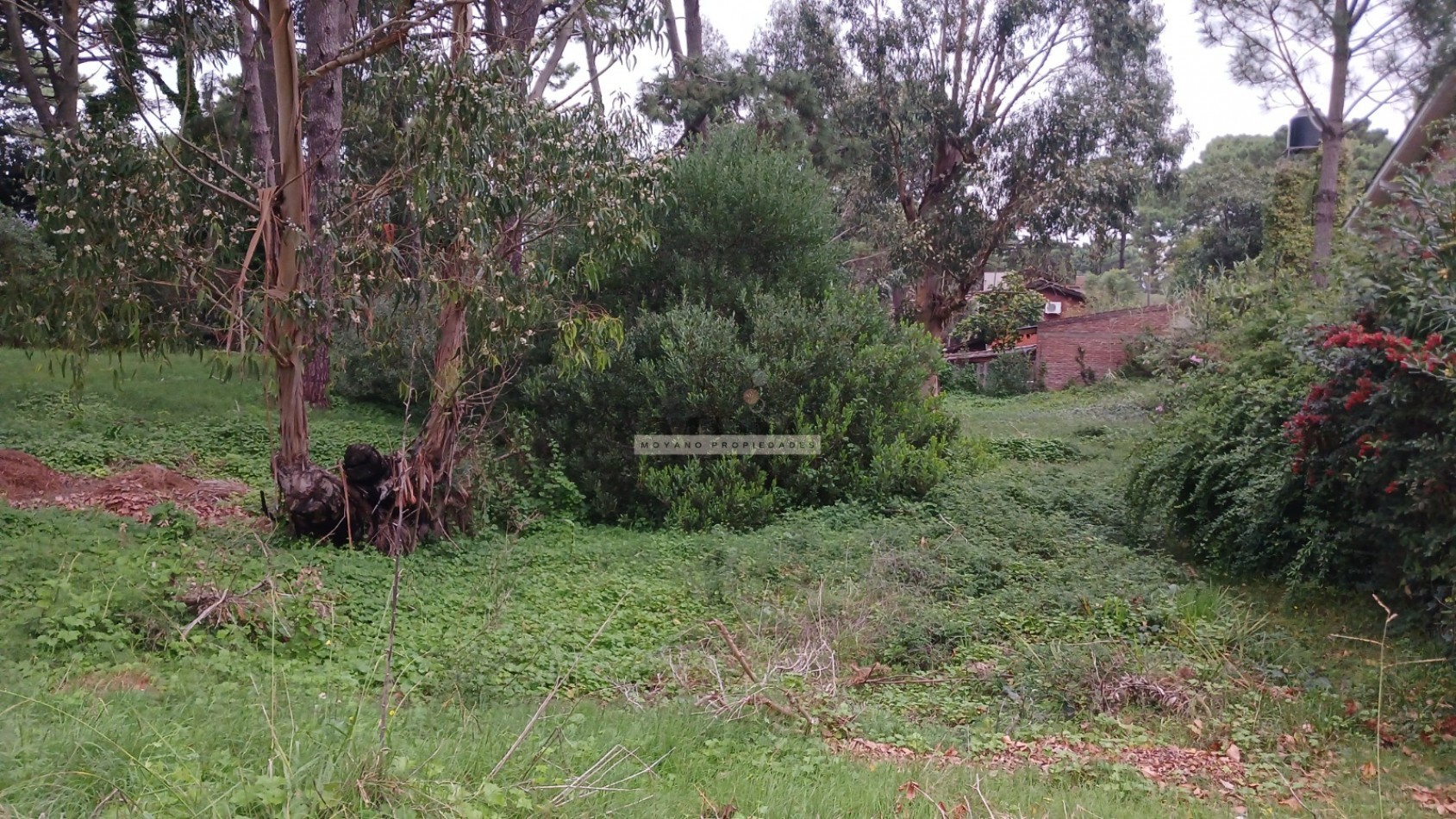 Lote en venta - Calle Segui entre Cabral y Nuñez de Balboa