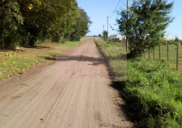 2 1/2 hectareas en Gral. Madariaga 