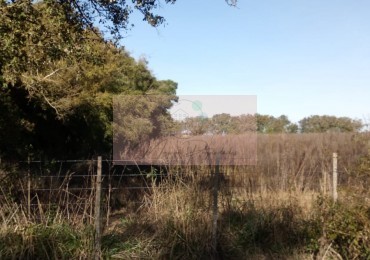 8 Héctareas en Gral. Madariaga