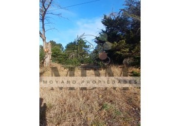 Lote Unifamiliar en Venta - Entorno Natural y Excelente Ubicacion en Villa Gesell