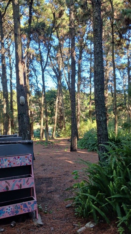 Casa en Venta - 3 Dormitorios + gran parque arbolado - Ranqueles entre Mansilla y Av. del Plata, con salida tambien a Av. del Lucero - Mar de las Pampas