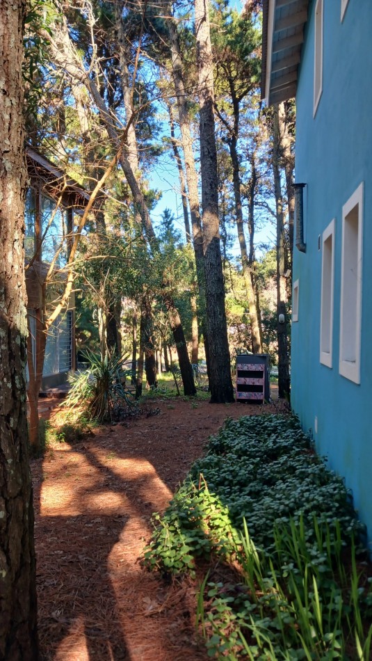 Casa en Venta - 3 Dormitorios + gran parque arbolado - Ranqueles entre Mansilla y Av. del Plata, con salida tambien a Av. del Lucero - Mar de las Pampas