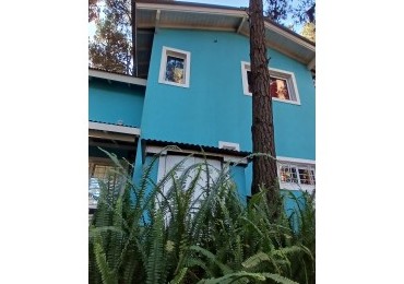 Casa en Venta  - 3 Dormitorios + gran parque arbolado - Ranqueles entre Mansilla y Av. del Plata, con salida tambien a Av. del Lucero - Mar de las Pampas